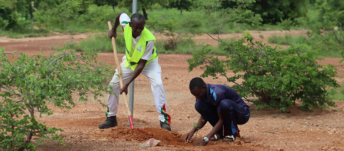 RESILAND Sahel : étendre les solutions durables pour les forêts des zones arides